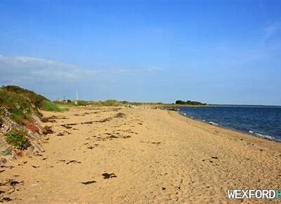 Campsite for caravans and campervans - 3km from Wexford Quay