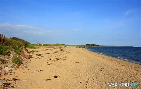 Campsite for caravans and campervans - 3km from Wexford Quay